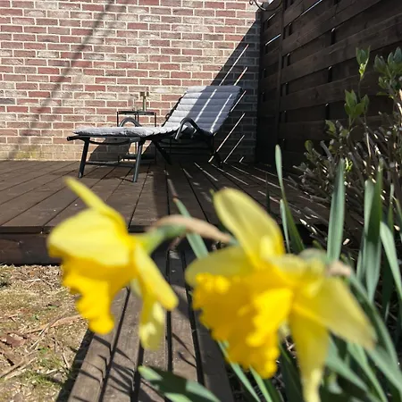 Maison Little Dots *