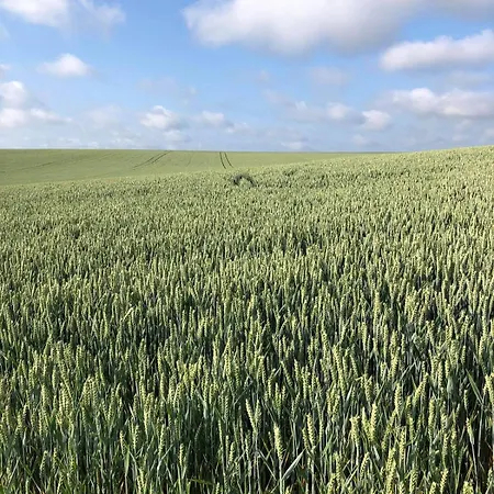 Villa Maison Little Dots Orp-le-Grand